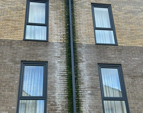 Brick Cleaning Services Inspection