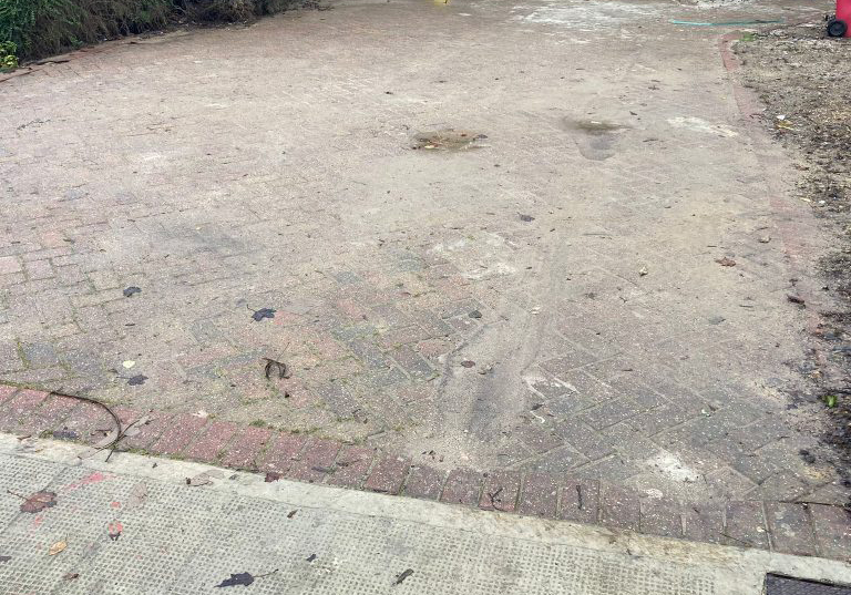 Driveway Cleaning - Step 2 Debris Removal